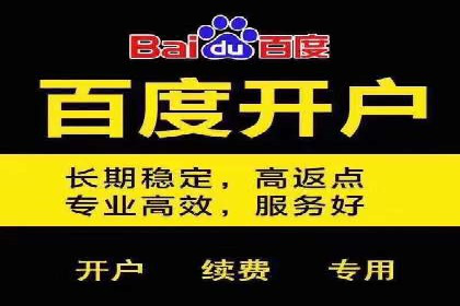 百度竞价公司成功案例：如何实现ROI最大化